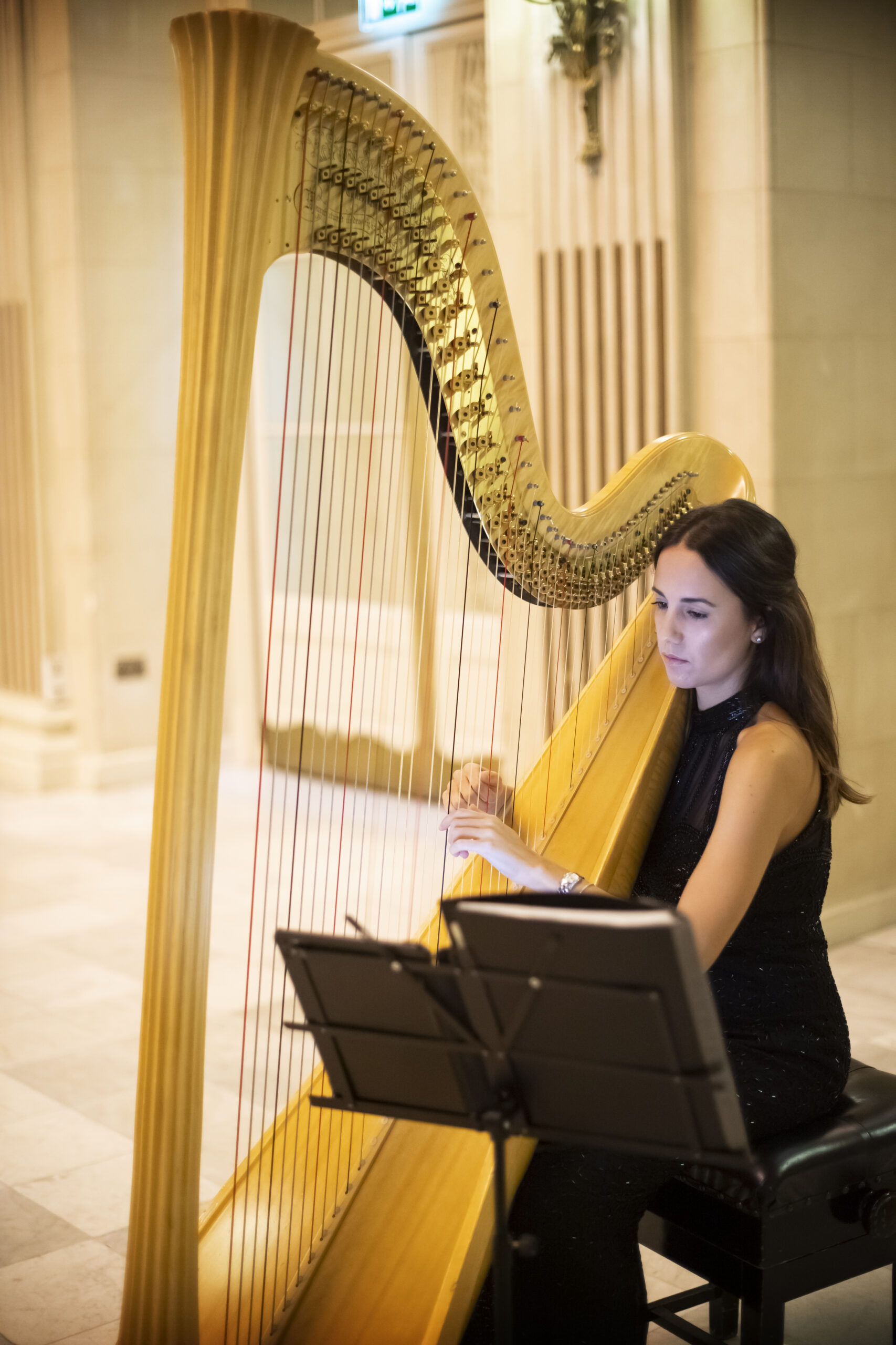 Stefania Lo Castro Harpist